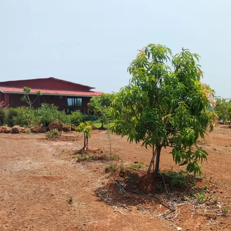 Affordable Farmhouse Plots Near Mumbai