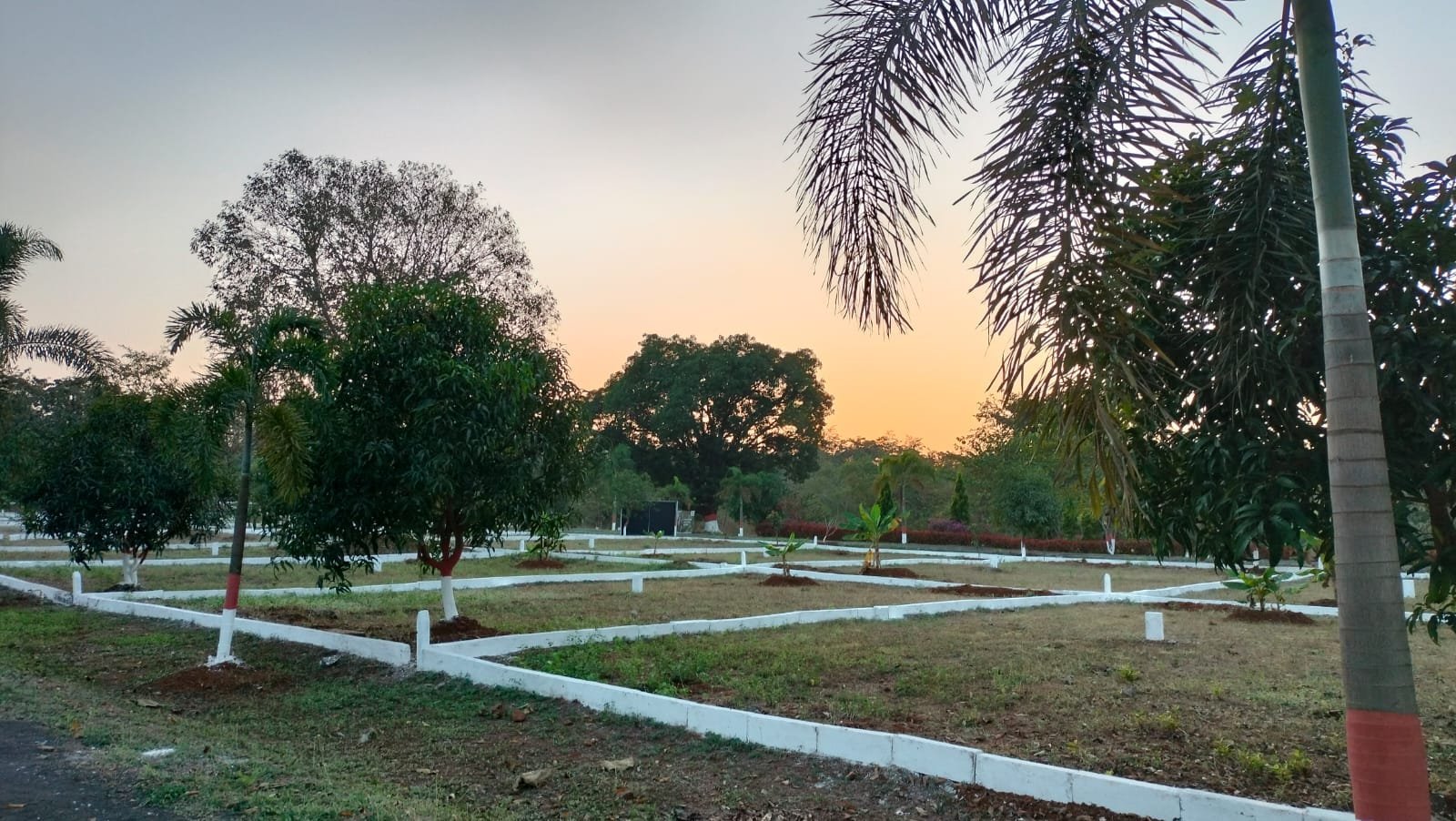N. A. Plots Starts form ₹12 Lakhs Only